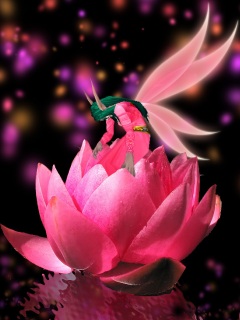 Other Wallpapers 0007